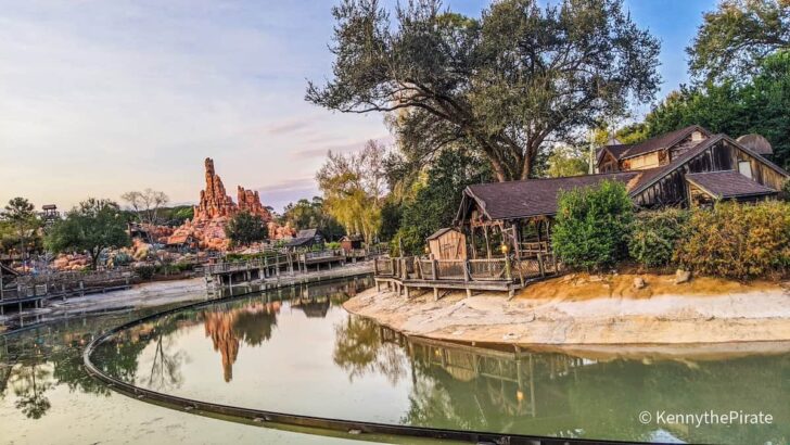 Magic Kingdom Resumes Operation After Threat and Lockdown