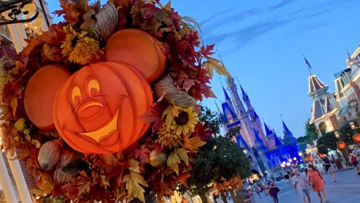 15 Best Tips for Mickey’s Not So Scary Halloween Party