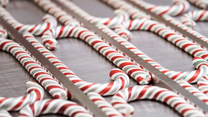 How to Get A Disneyland Candy Cane This Year