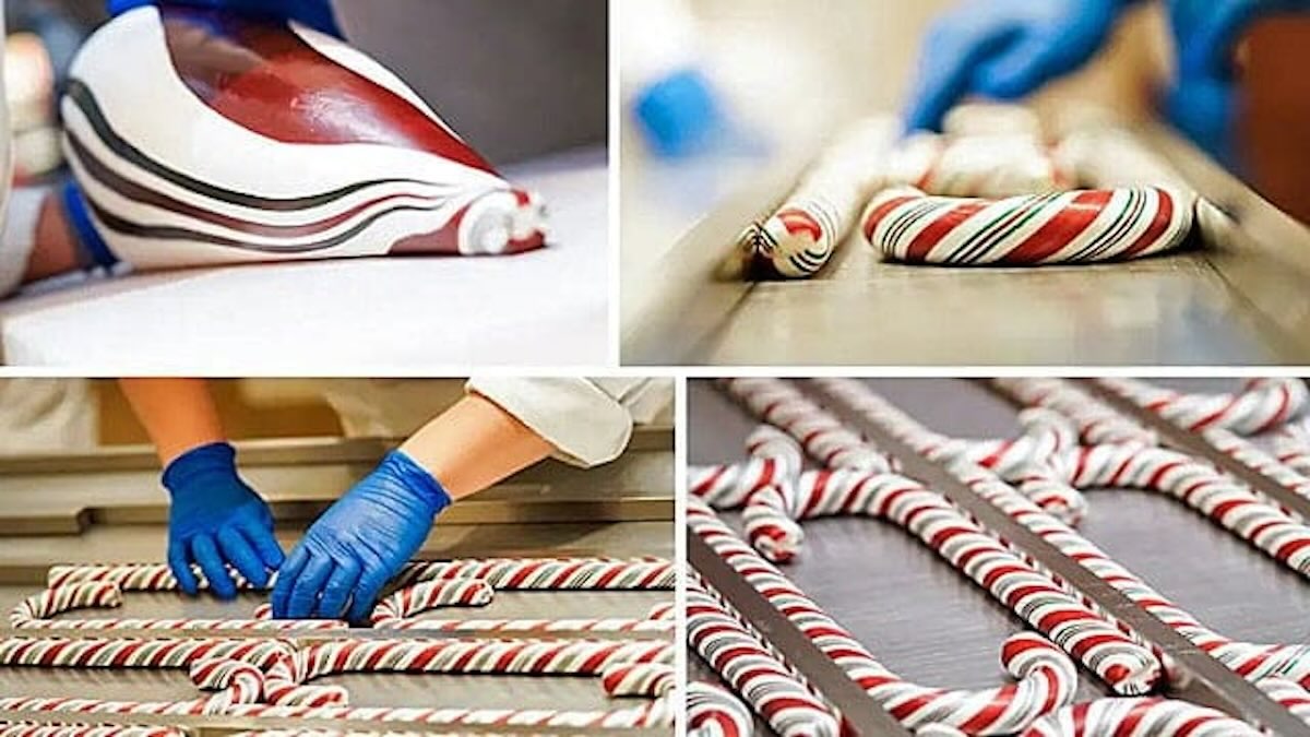 How to Get A Disneyland Candy Cane This Year