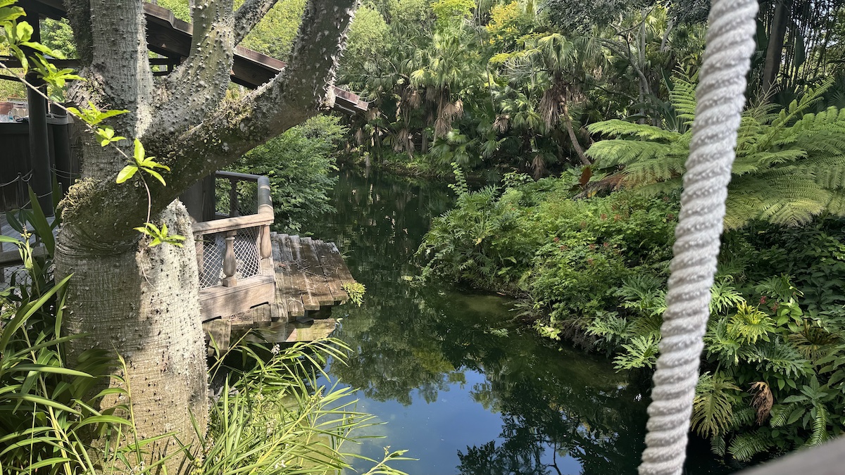 Swiss Family Treehouse