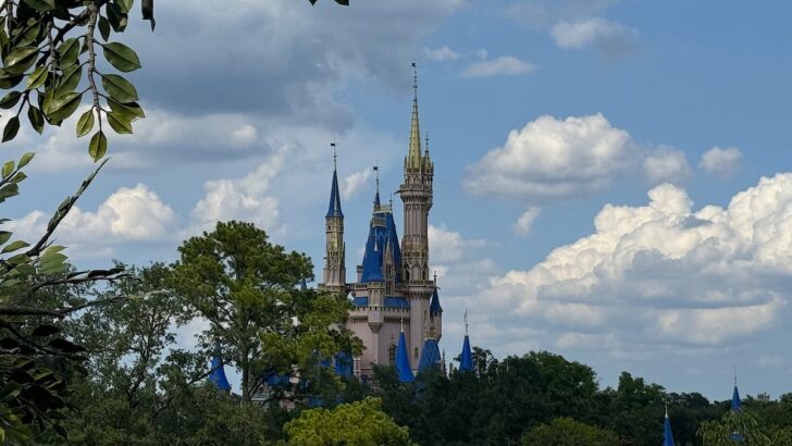 Surprise: Magic Kingdom Location Opens Way Ahead of Schedule