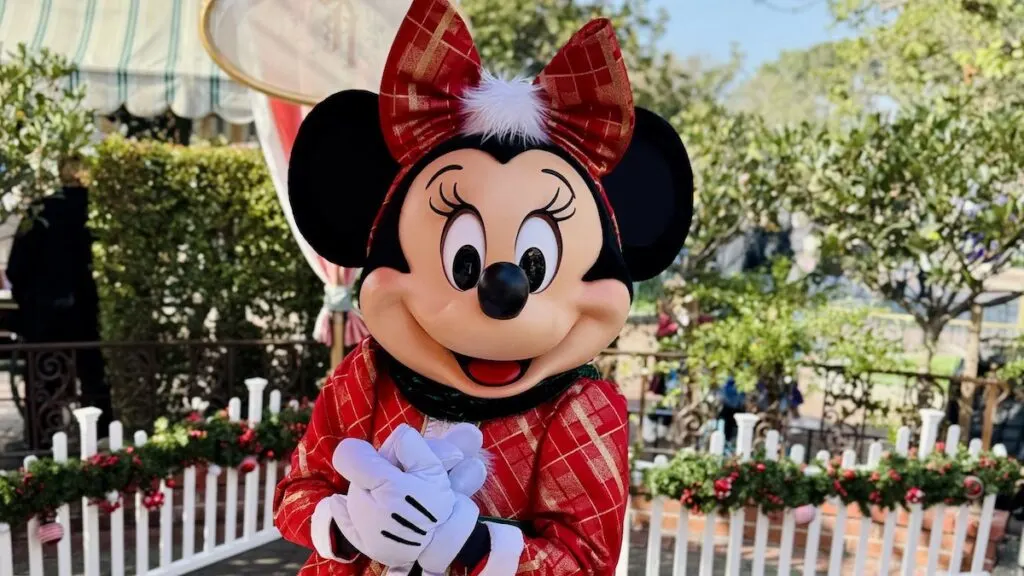 Disneyland Minnie Mouse Christmas Outfit