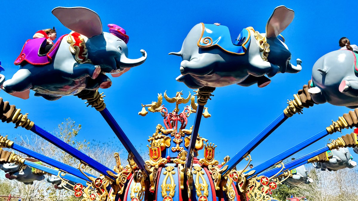 Dumbo refurbuishment