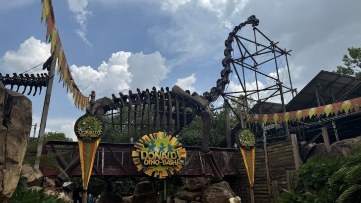 Something Big is Now Missing at Animal Kingdom