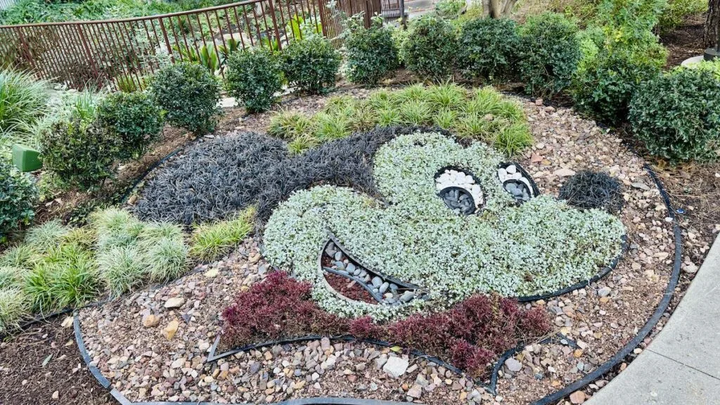 Mickey Garden