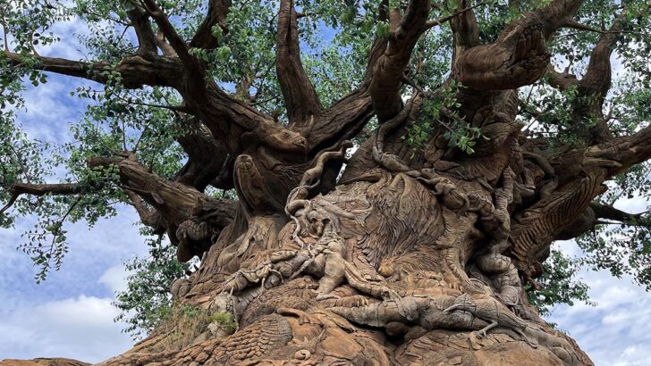 One of Disney World's Original Beasts Just Turned 50!