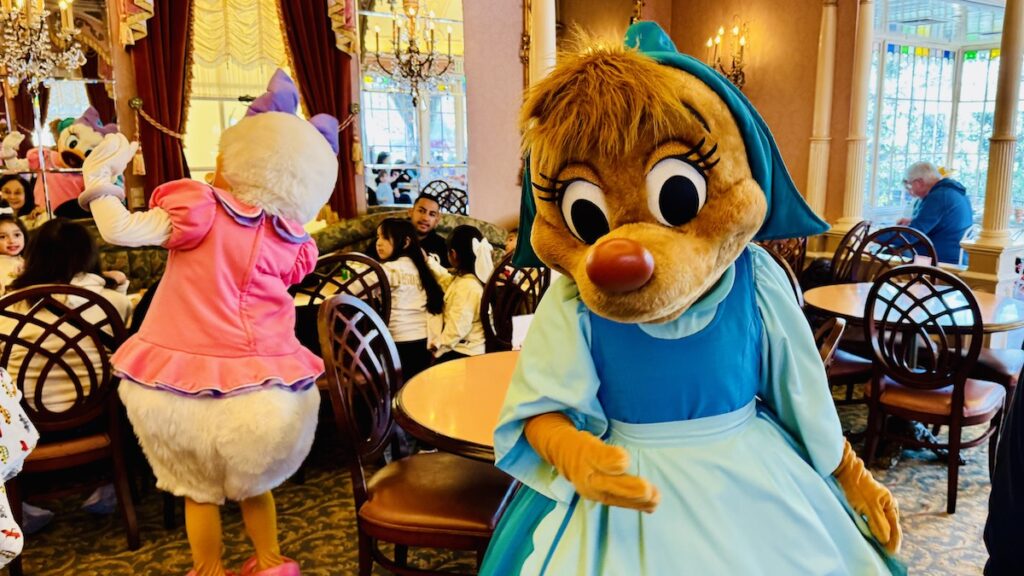 Plaza Inn Suzy and Daisy