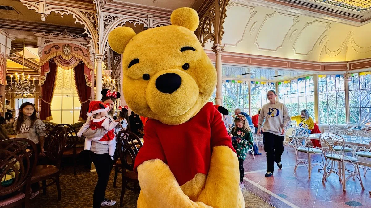 Pooh Bear Disneyland