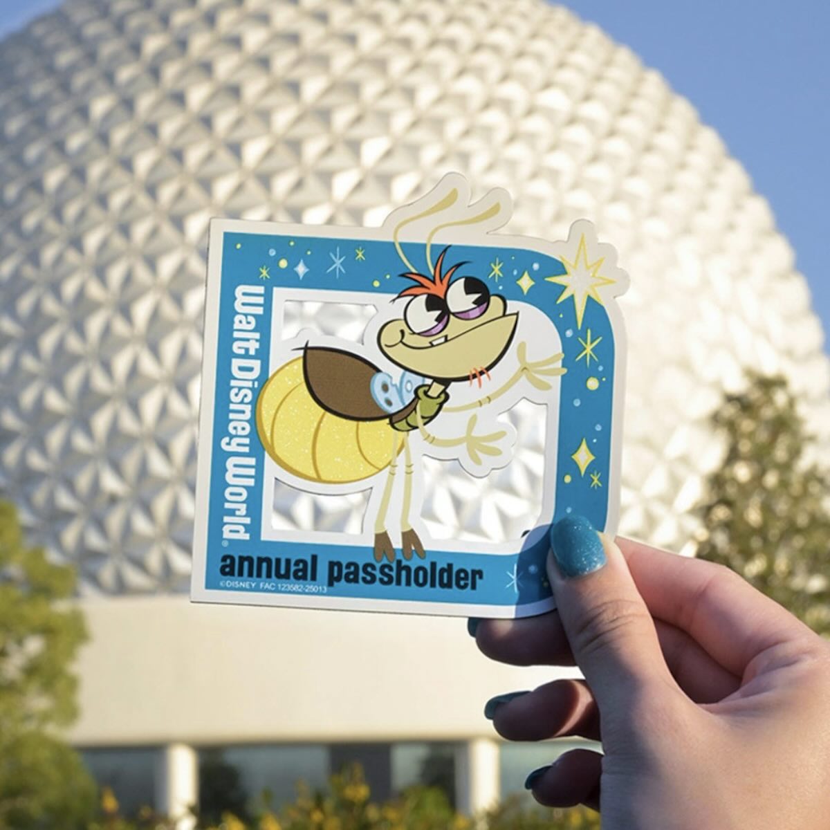 Annual passholder magnet ray