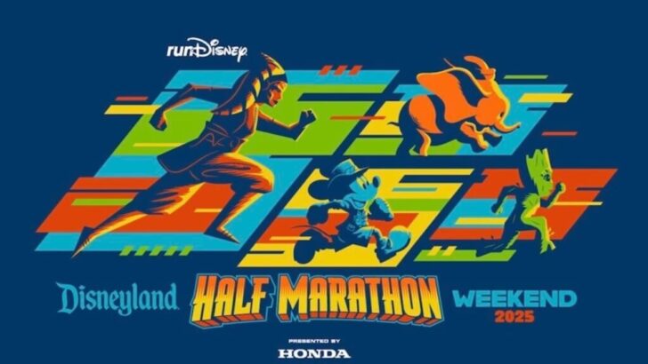 runDisney Makes  New Addition That We Love