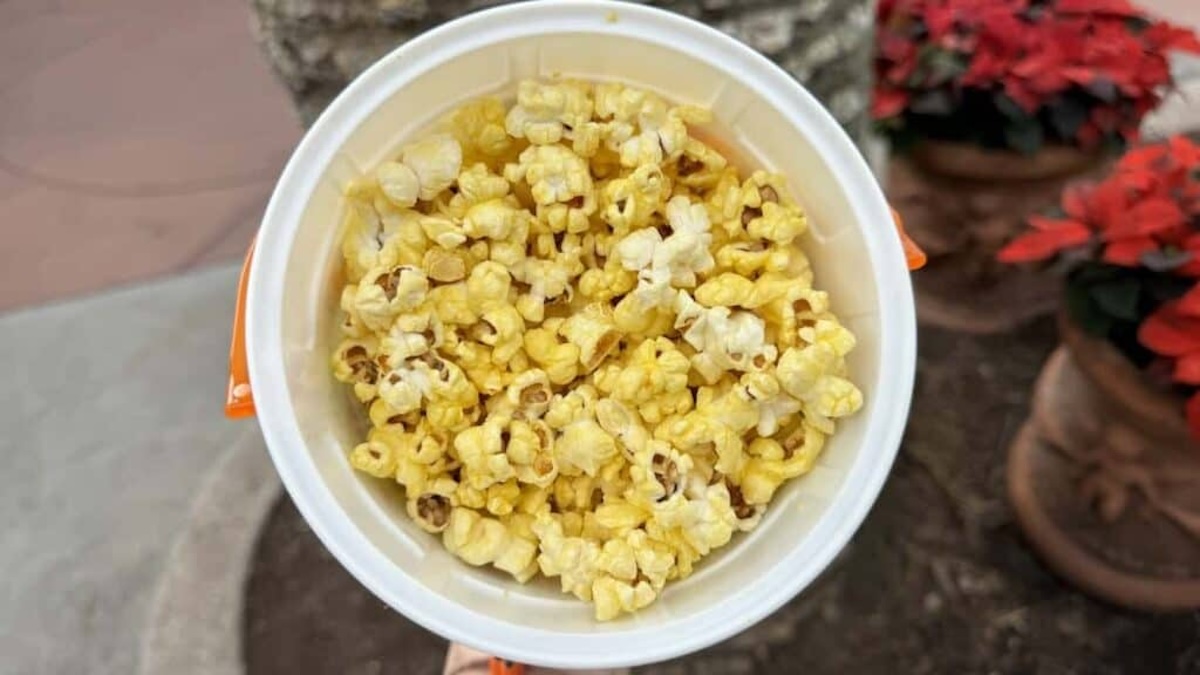 A Sweet New Popcorn Bucket Has Arrived at Disney