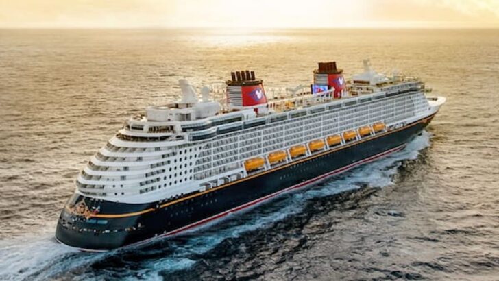 Check Out The Exclusive 2026 DVC Member Cruise