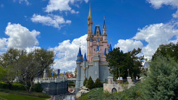 Magic Kingdom's Newest Best Kept Secret