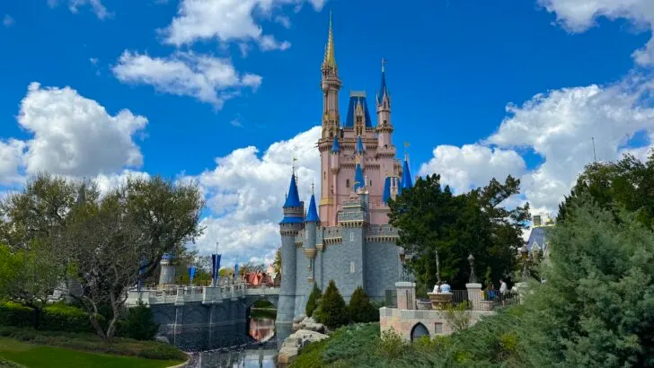 Magic Kingdom's Newest Best Kept Secret