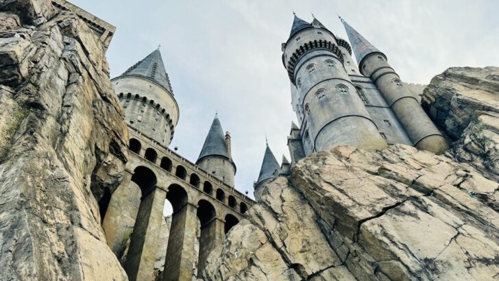 Universal Loses Millions in the Harry Potter Ride Lawsuit