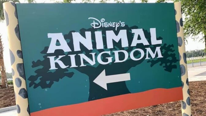 Opening Date Announced for This Animal Kingdom Attraction